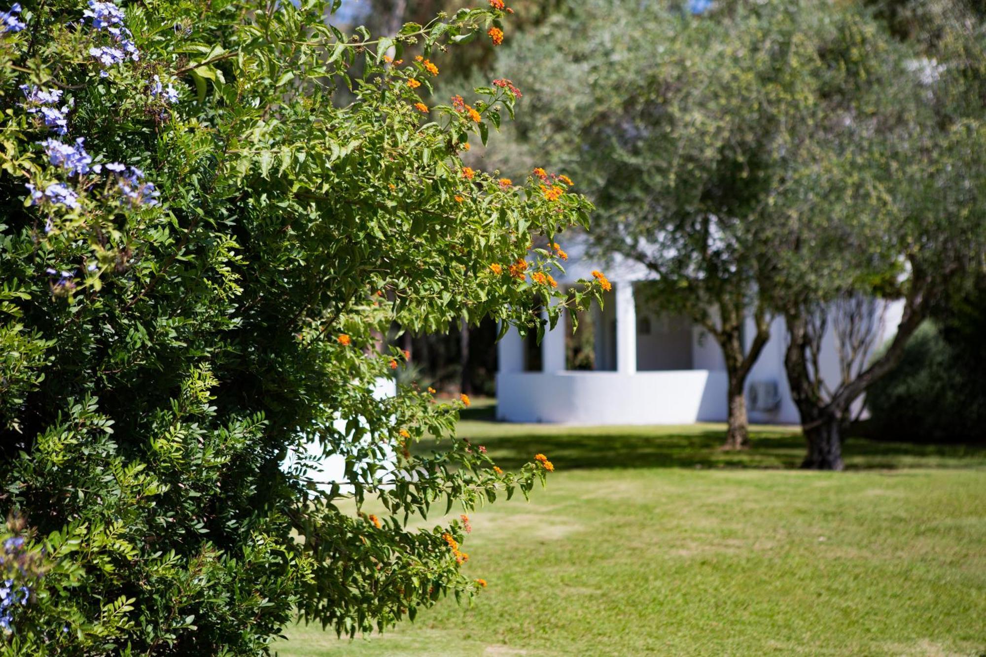 Hotel Flamingo Santa Margherita di Pula Camera foto