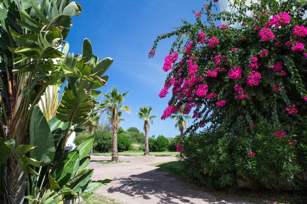 Hotel Flamingo Santa Margherita di Pula Esterno foto